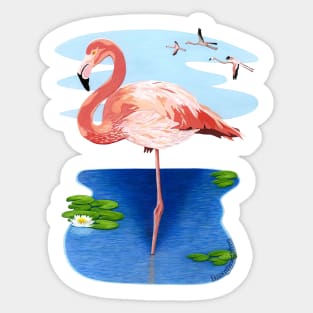 Majestic Greater Flamingo Sticker